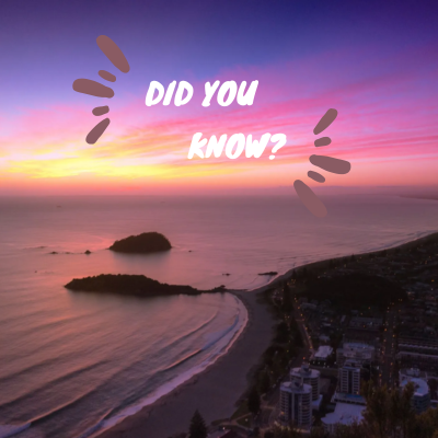 Moving to Mount Maunganui? Here’s What You Need to Know