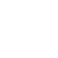 Mout Maunganui Notice Board